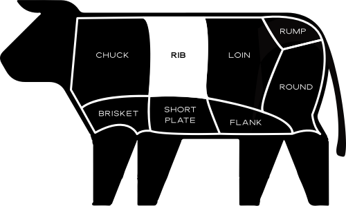 Graphic of rib cut location on cow