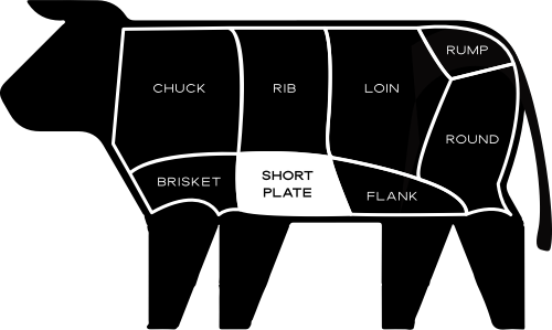 Graphic of short plate cut location on cow