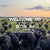 Welcome to Box M Intro Image with herd of cattle